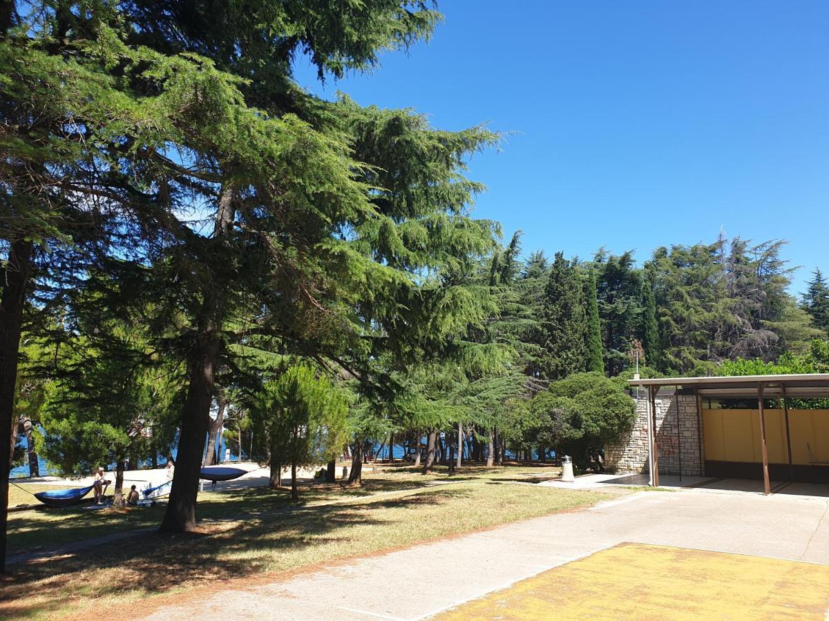 Youth Hostel Pinesta Novigrad Istria 外观 照片